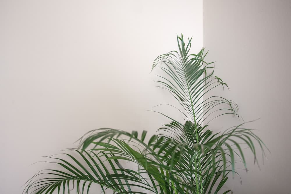 Apartamento Santos Graça