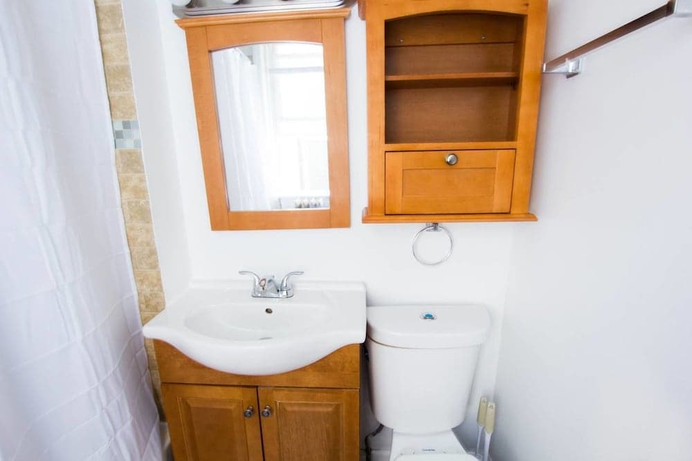 Classic Lincoln Park Charmer - 3bdr Steps to Train