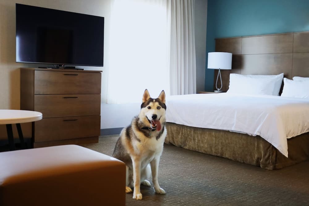 Staybridge Suites Waterloo - St. Jacobs Area by IHG