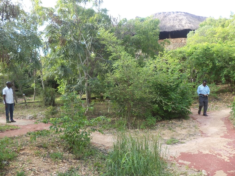 Gosana Eco Nature