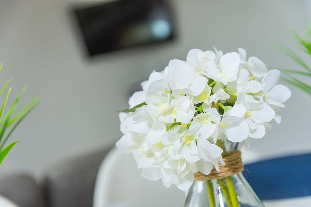 Off The Square Apartments