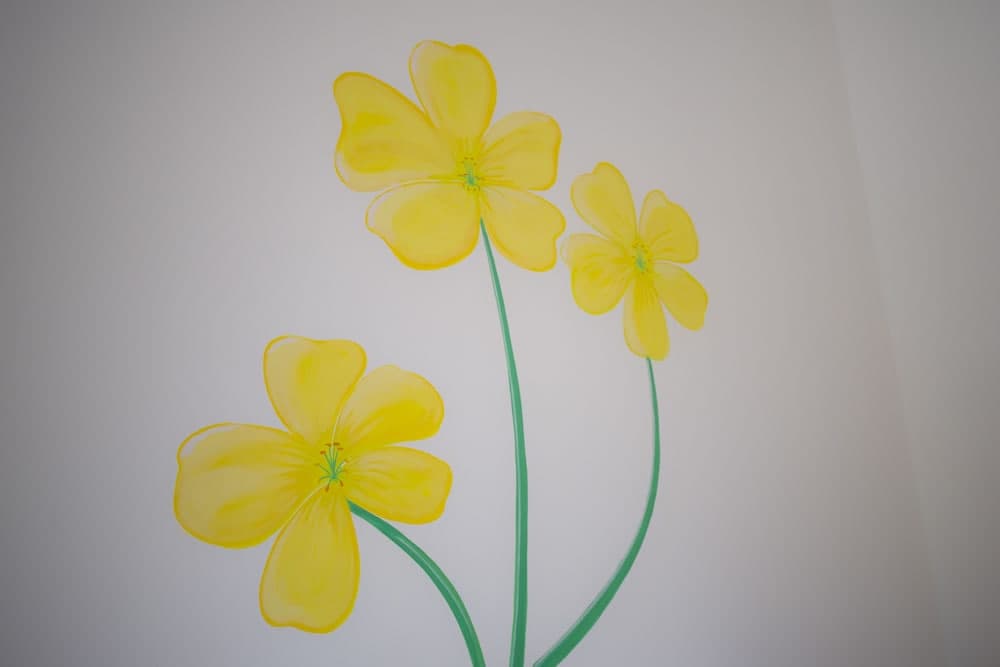 Fiori Gialli Caucana