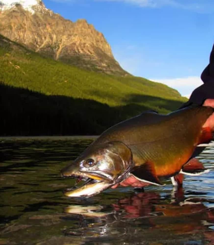 Fortress Lake Wilderness Retreat