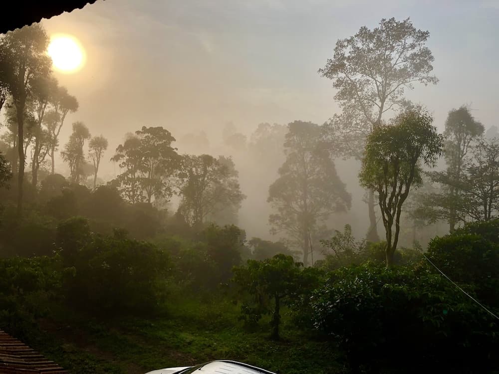 CG-Ala The Coffee Grove