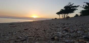 Puerto Plata Beach Hostel