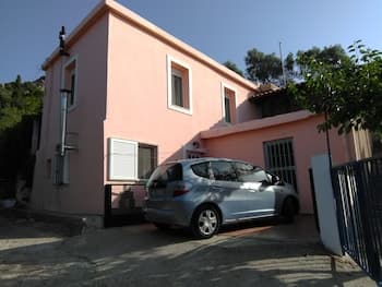 Garden Of Olive Trees