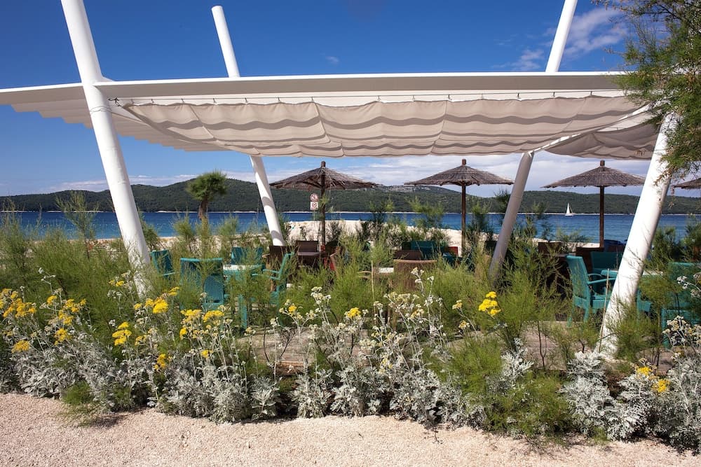 Dalmatian Star Homes