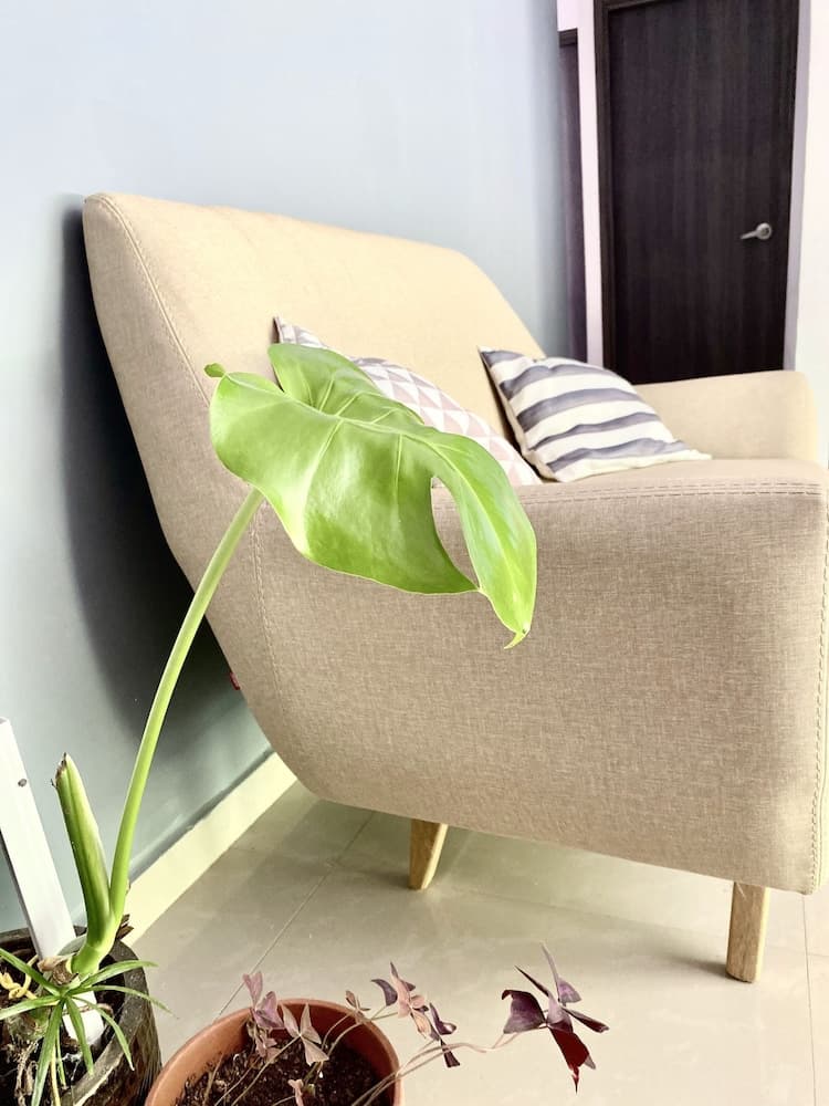 Montes De Beraka - Adults Only