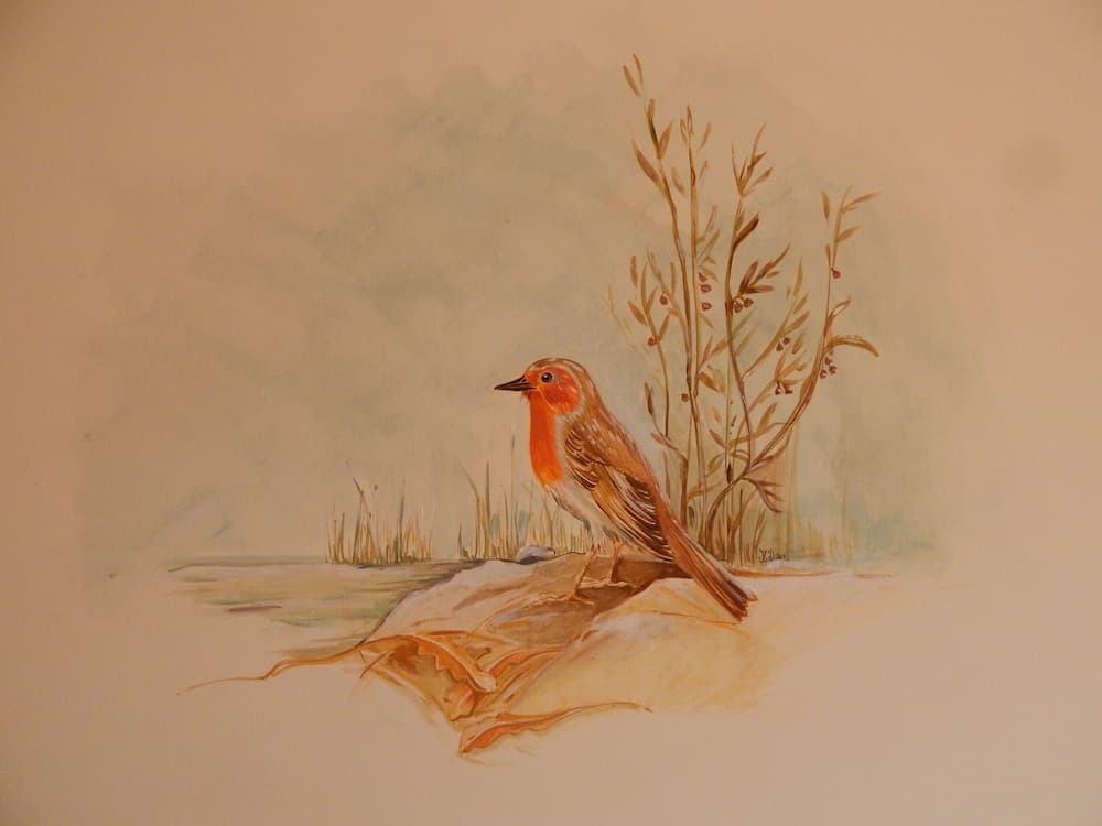 Agriturismo B&B La Selva