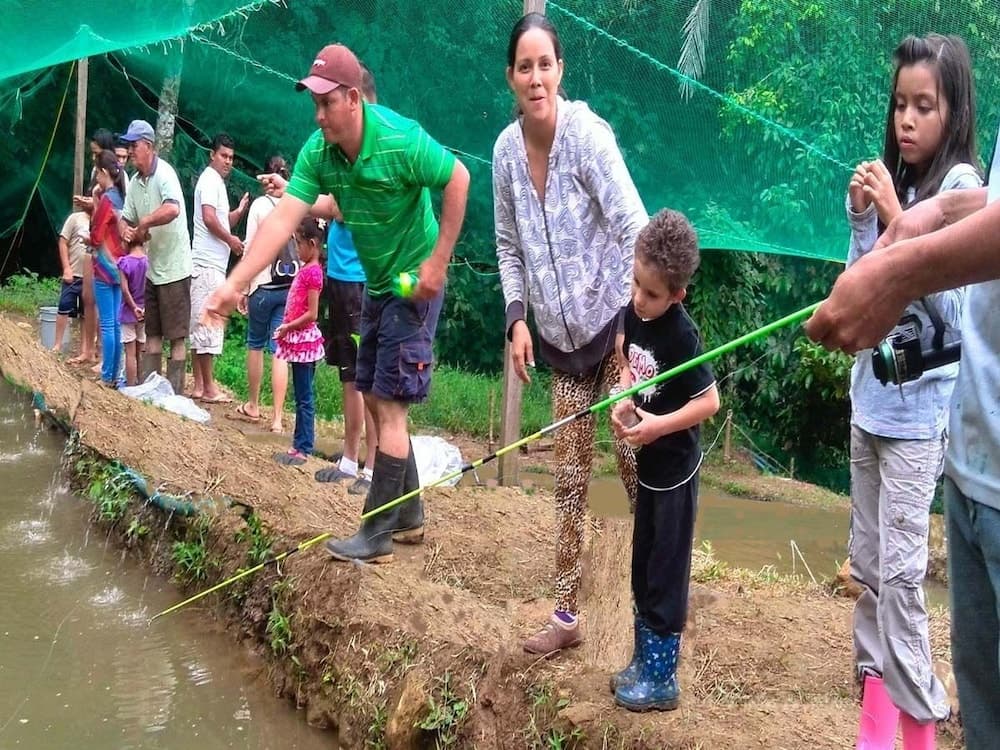 Vanilla Jungle Lodge - Bed & Breakfast