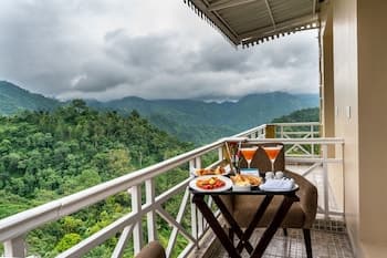 Cygnett Resort Mountain Breeze