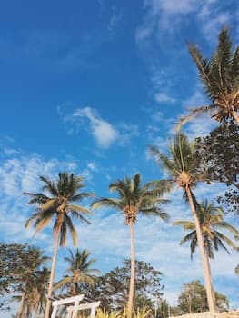 Hotel G Beach Resort and Restobar