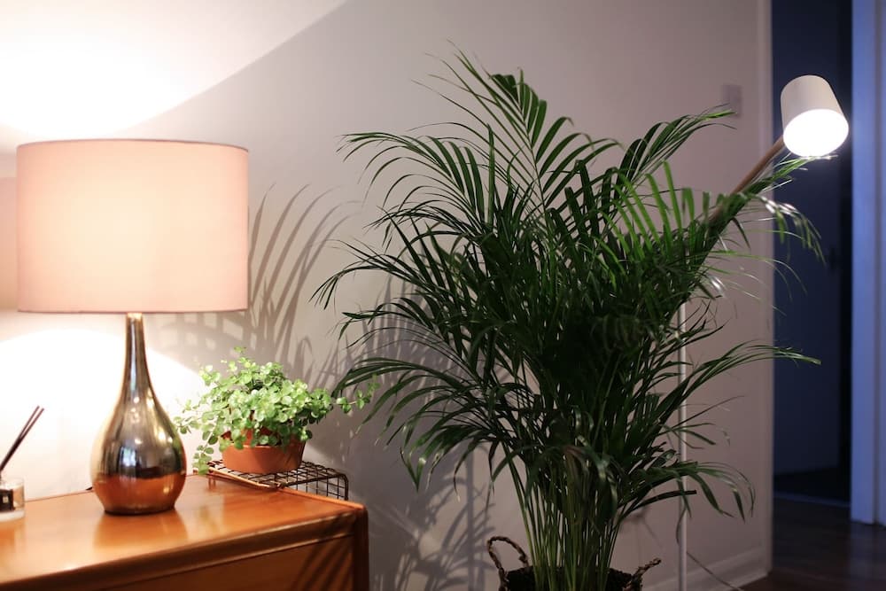 3 Beds 2 Baths Oxford Circus