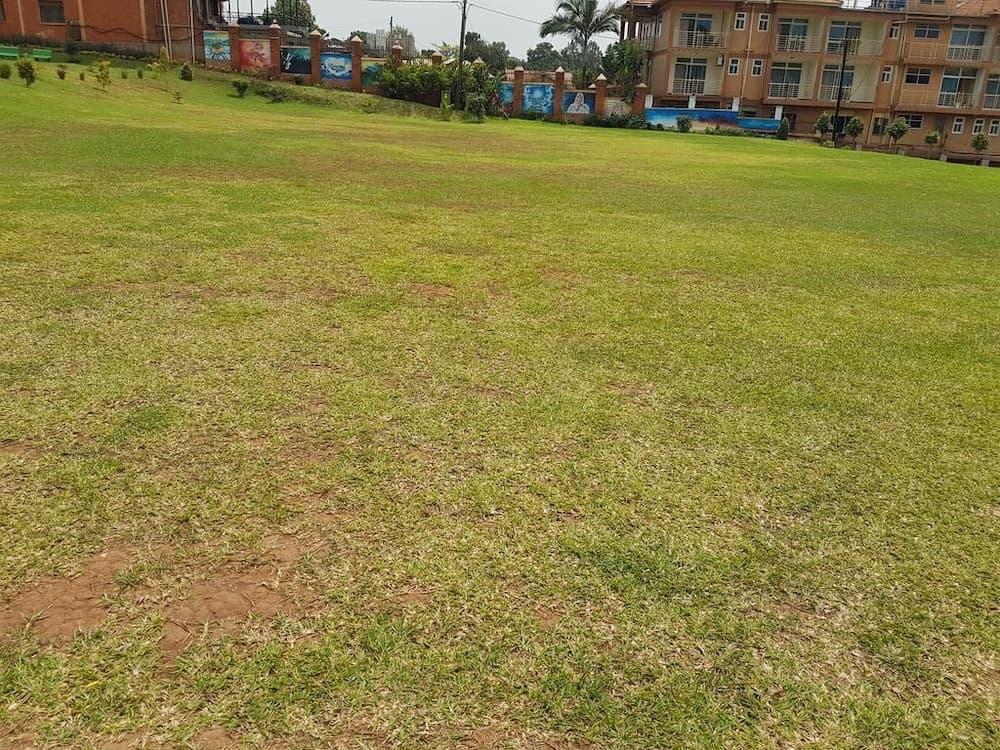 Pope Paul V1 Memorial Hotel