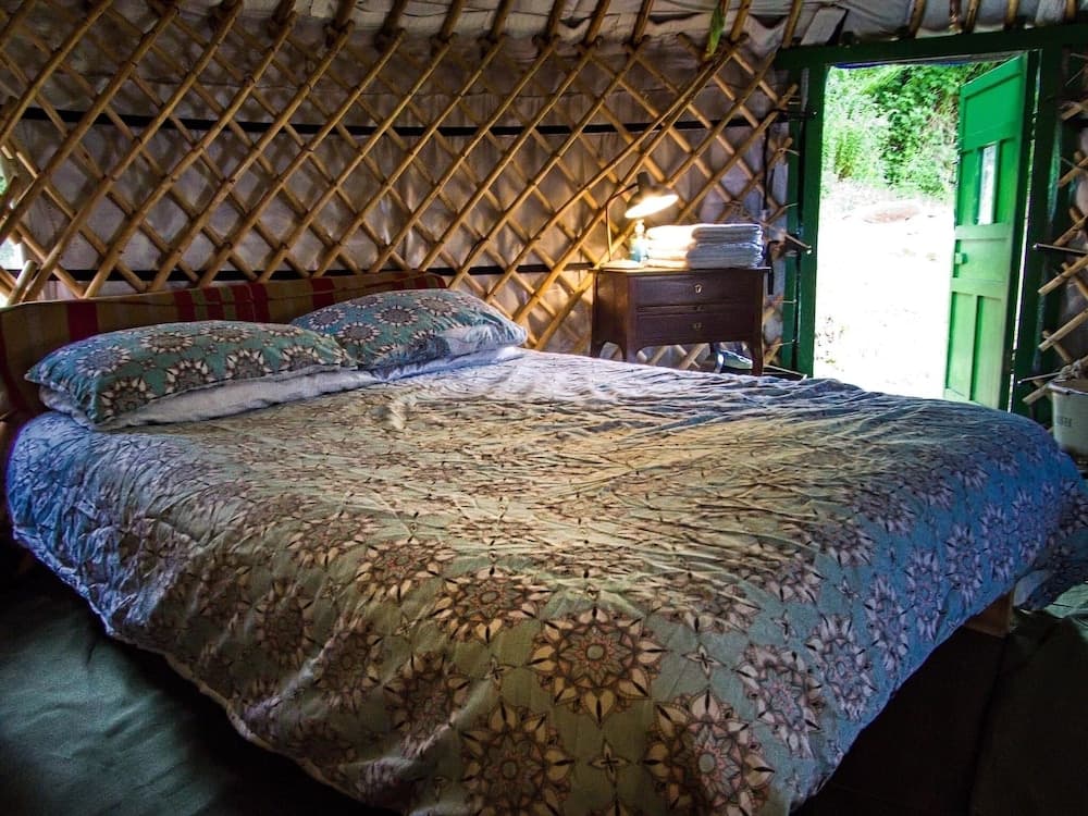 Hapus Yurt - Two Beautiful Yurts and Barn Cottage
