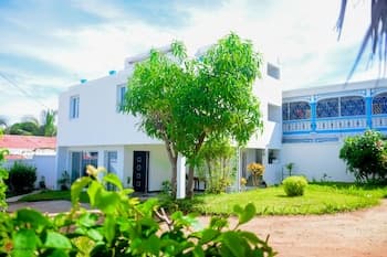 Orion Bleu Bellatrix