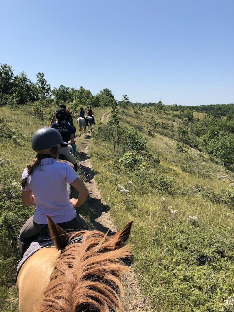 Cabane - Loges de Carlat