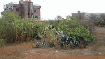 Motel Café Resto La Rocade