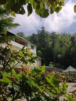 Alishan Mao Hsin B&B