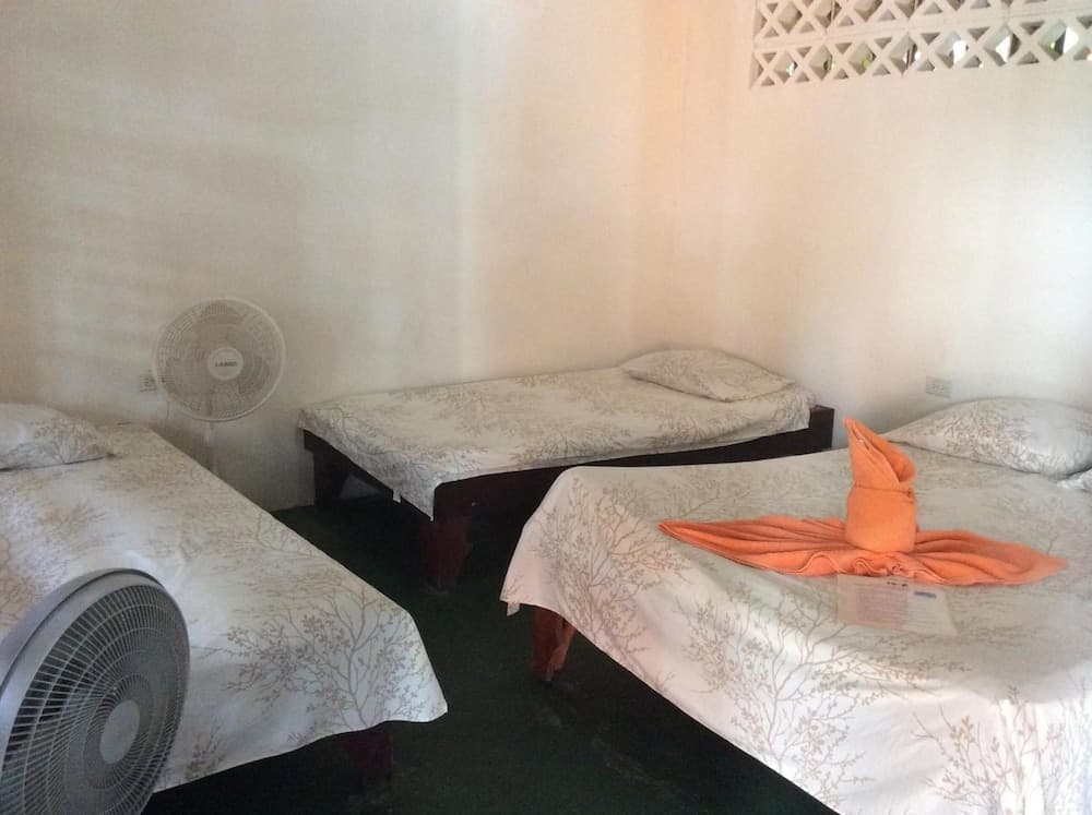 Cabinas Balcon de Mar Tortuguero