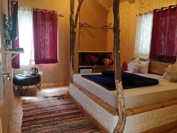 Offbeat Abodes - Tirthan Valley