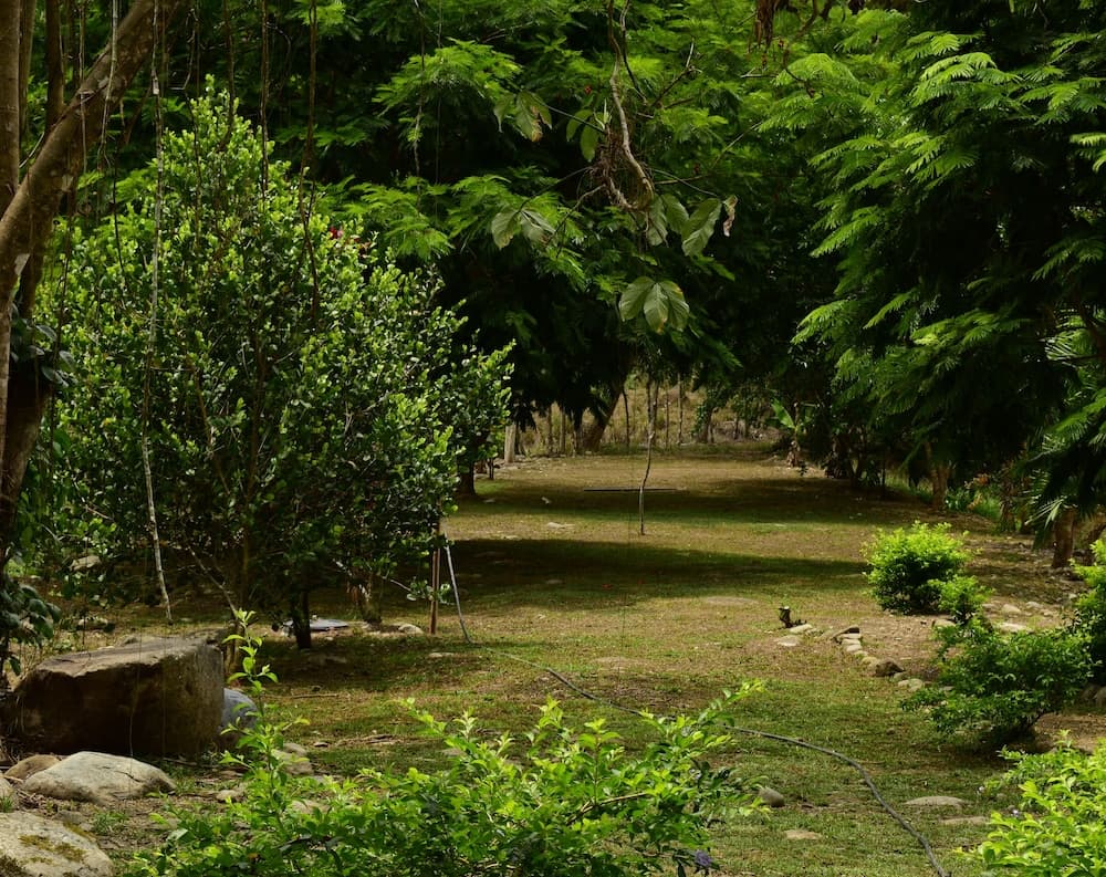 El Lago - Finca Agrituristica