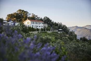 Il Leccio Luxury Resort