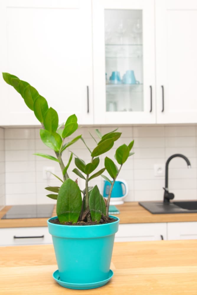 Blue Apartment Old Town Air Condition p4you pl