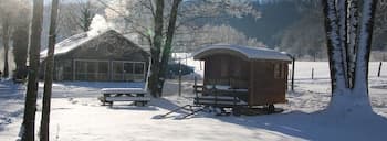 Parc Animalier du Hérisson - Insolite