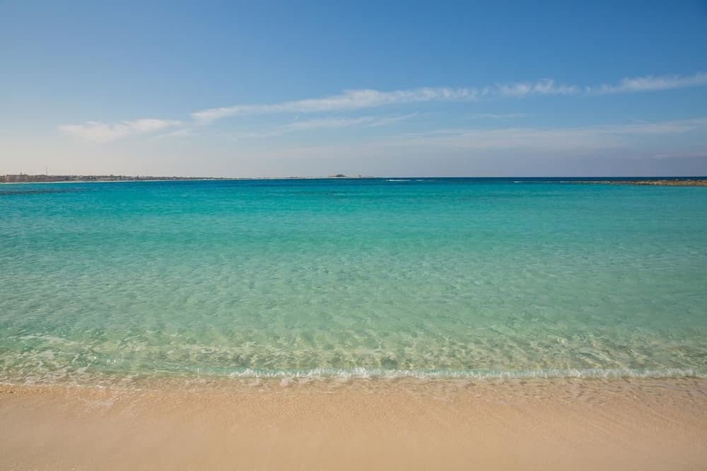 Nirvana Wellness Huts - White bay