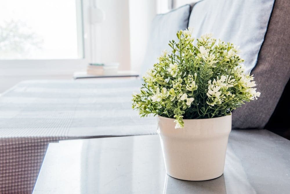 halu! Modern & Cozy Seafront Villa