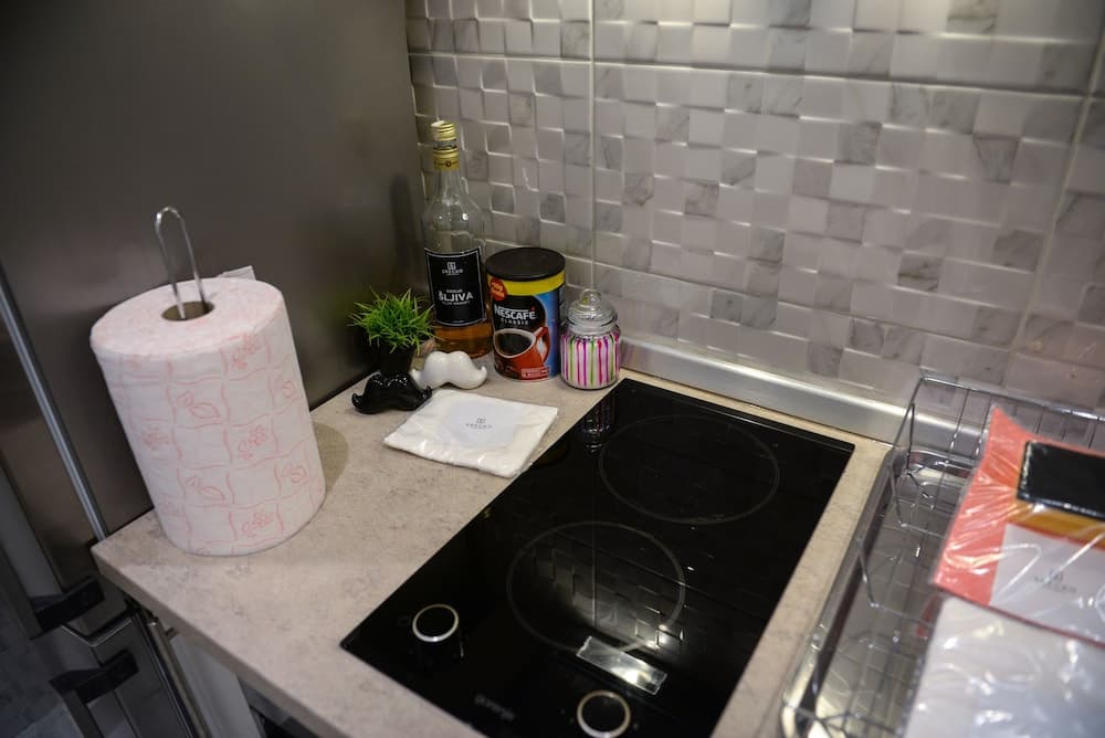 Srecko Exclusive Apartment