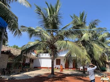 Palm view inn-Nilaveli