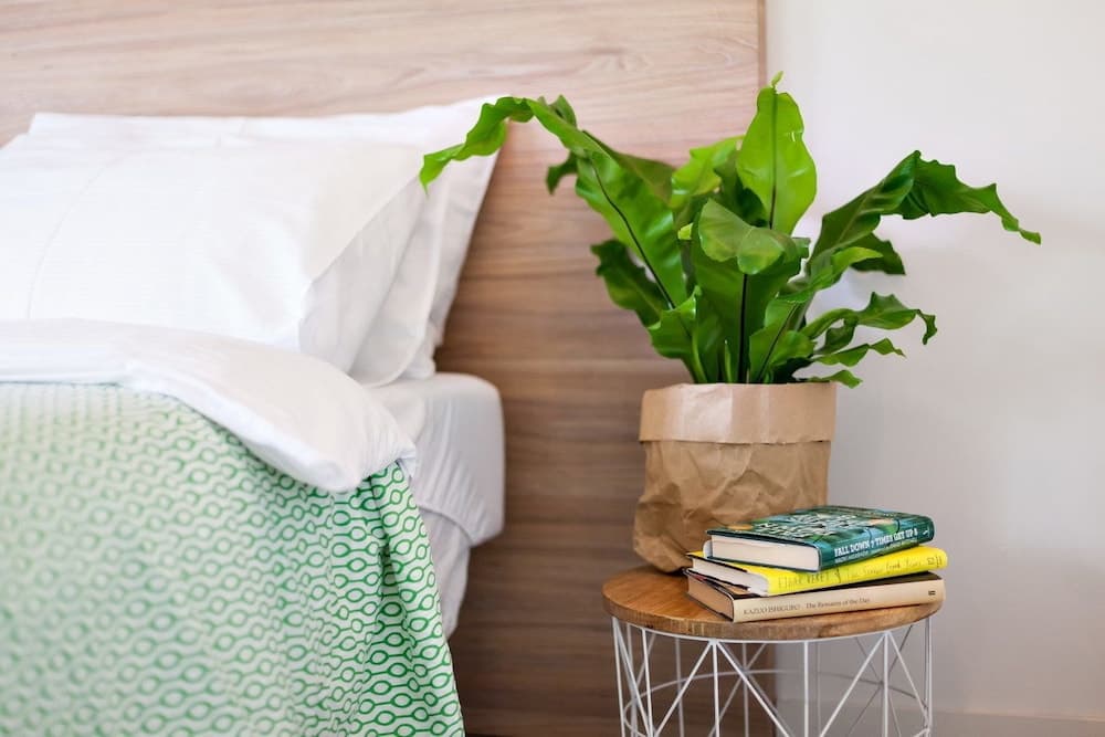 London in Tel Aviv - stay at my place