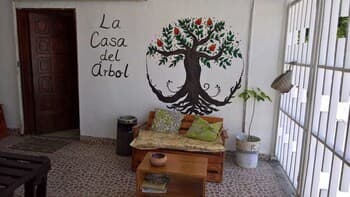 La Casa del Árbol Cancun