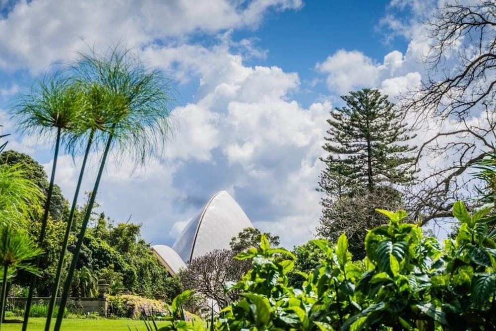 Amazing View Kozy 2 Bed APT with Parking Waterloo Nwa052