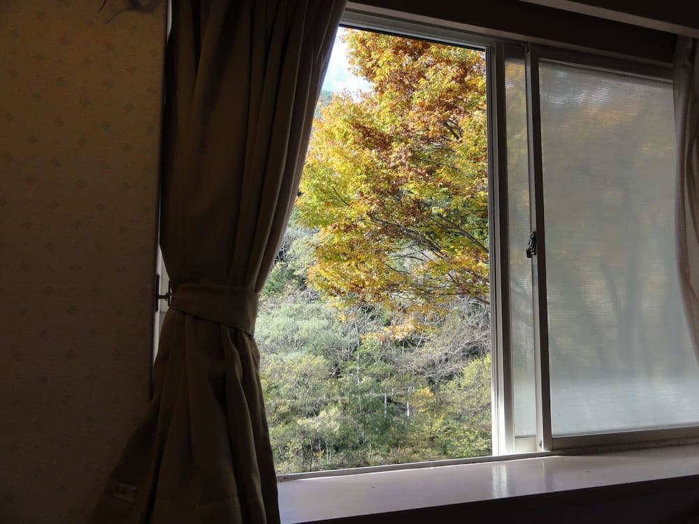 Tanigawadake Raspberry Youth Hostel