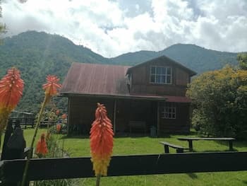 Eco Hotel las Palmas de Cocora