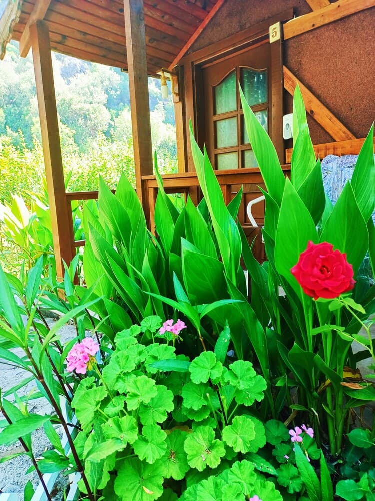 Canario Bungalows Pension