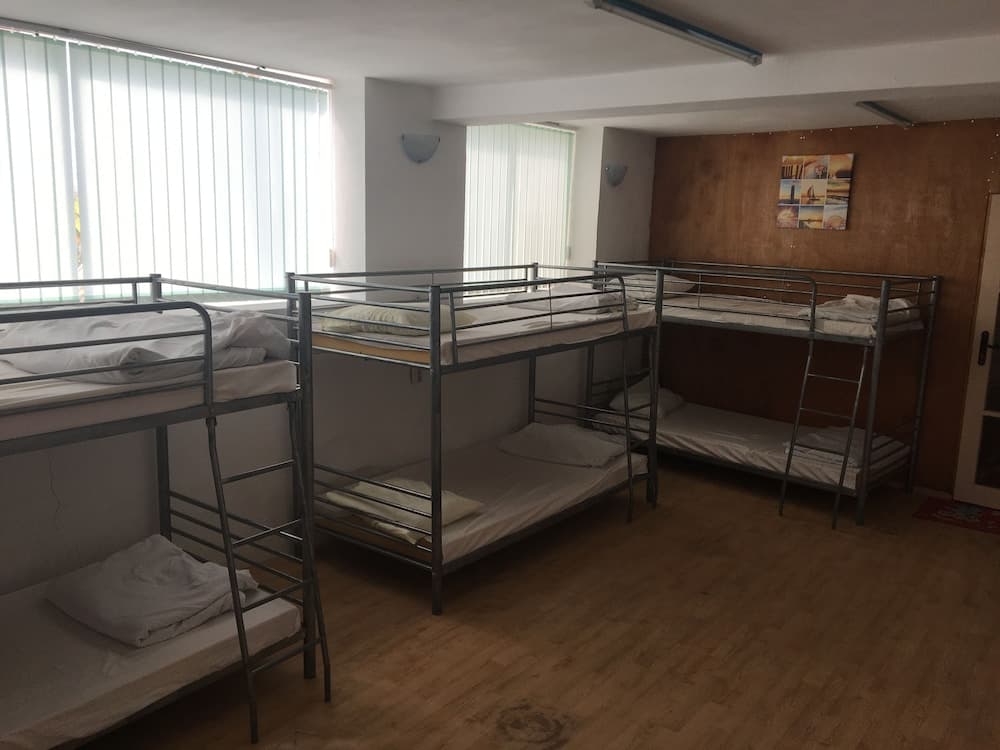 Hair of the Dog Hostel