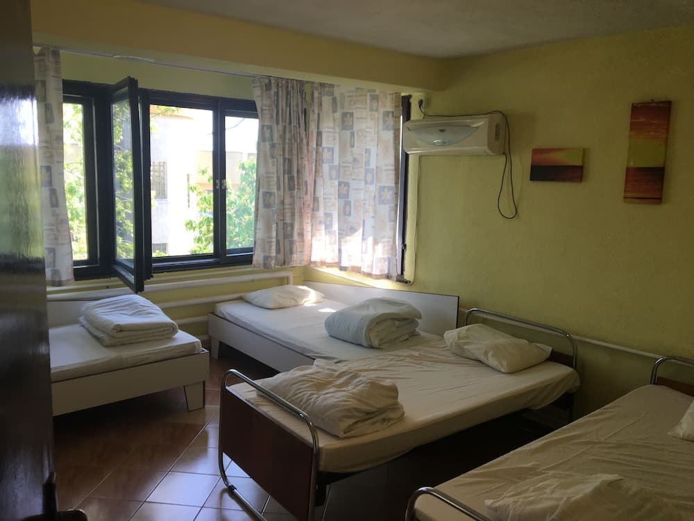 Hair of the Dog Hostel