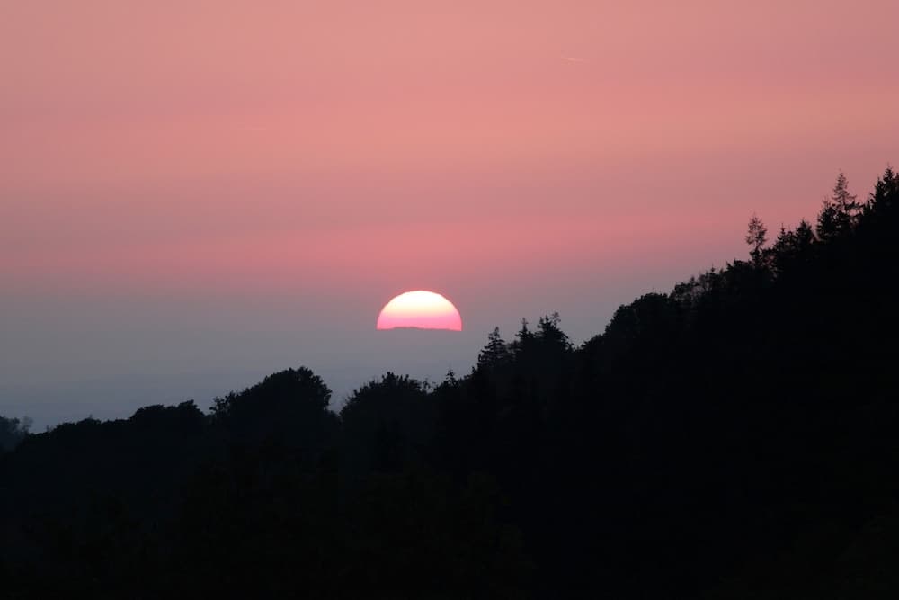 Hotel Merkurwald-Restaurant Wolpertinger