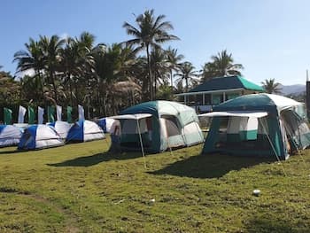 Pacific Buddies - Campsite