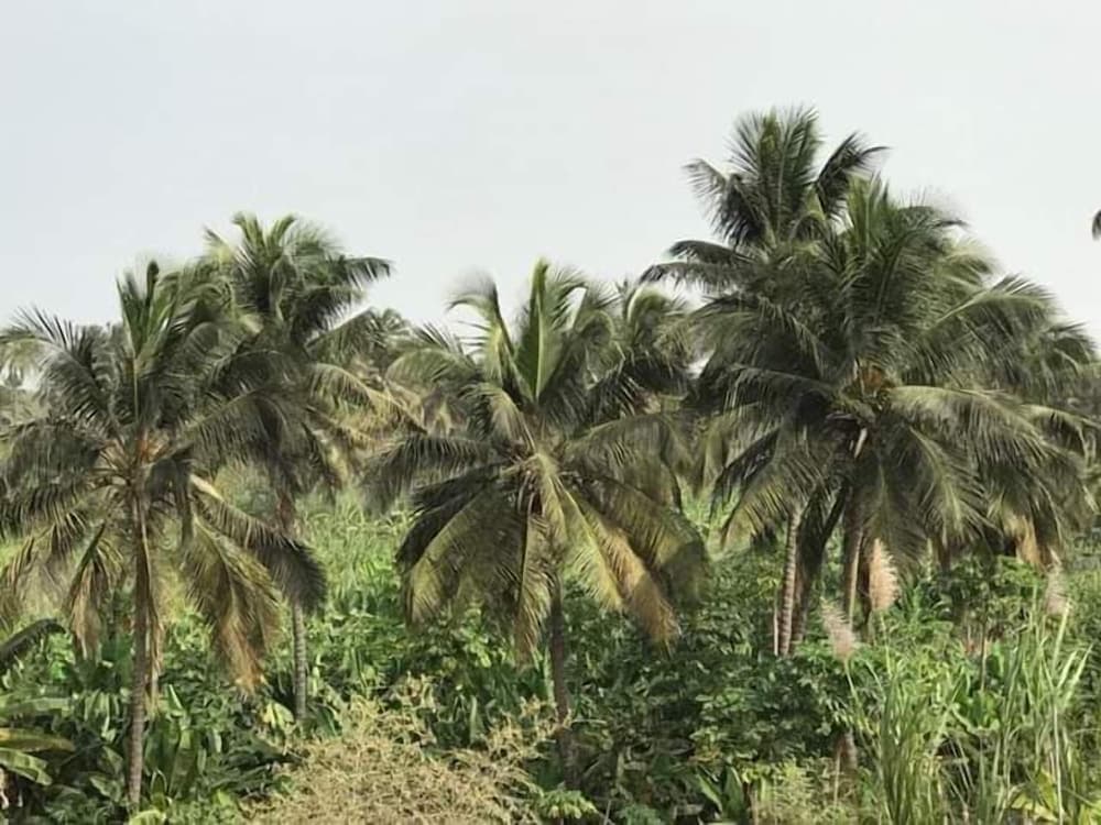 Villa Santa Cruz Santiago