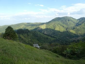 Desarrollo Biodiverso