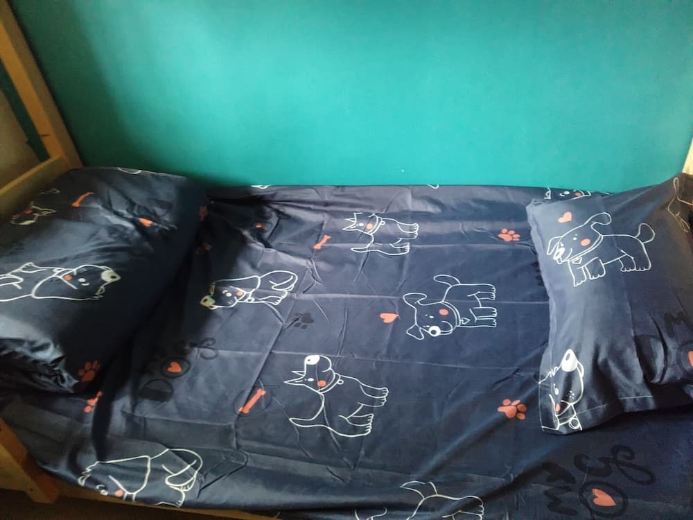 Beer Friends Hostel Zhengyang Street