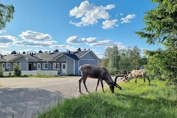 Kuukkeli Apartments Suite