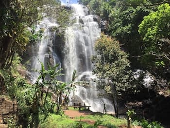 David Crater Homestay