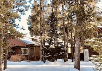 Shepherd Family Retreats- FOX