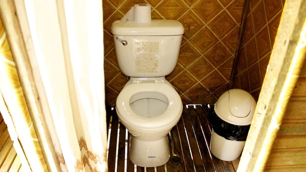 Tambopata Guest House